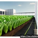 도시농업 재사용 가능한 포장재 - Here are three detailed image generation prompts in English, designed to visualize the concepts of e...